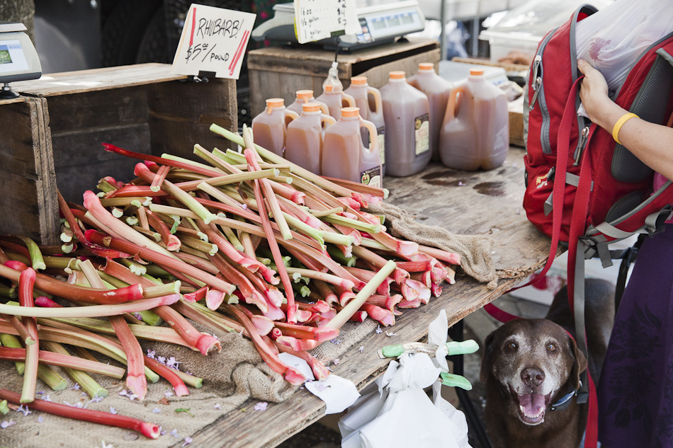 smartvolta_volta_smart_places_agnes_thor_ftgreenemarket449_028d