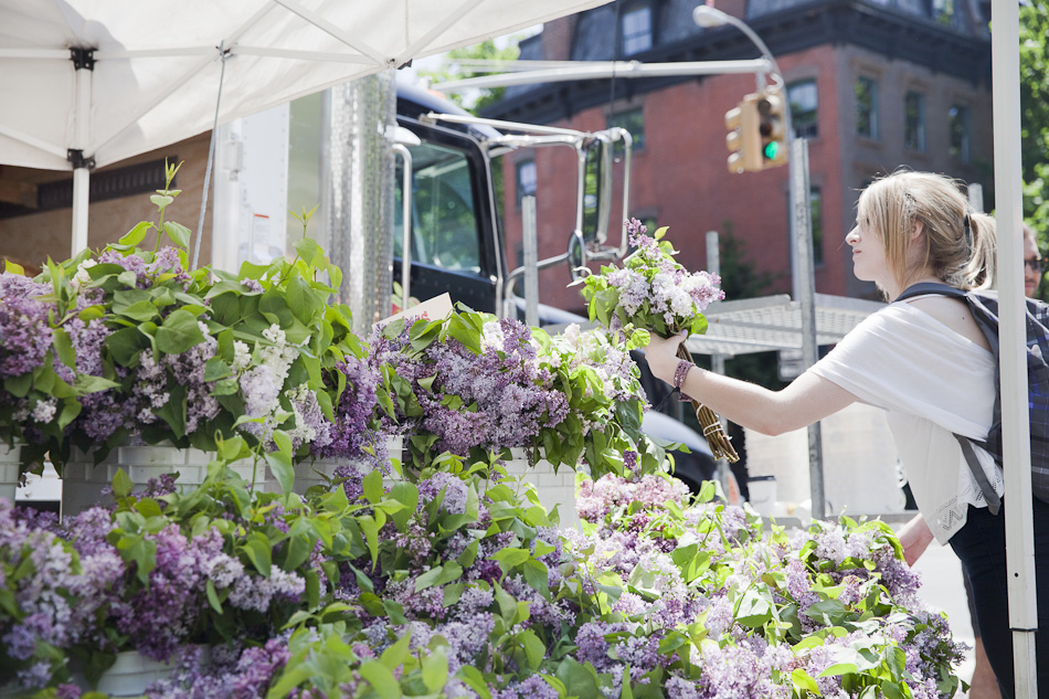 smartvolta_volta_smart_places_agnes_thor_ftgreenemarket449_032d