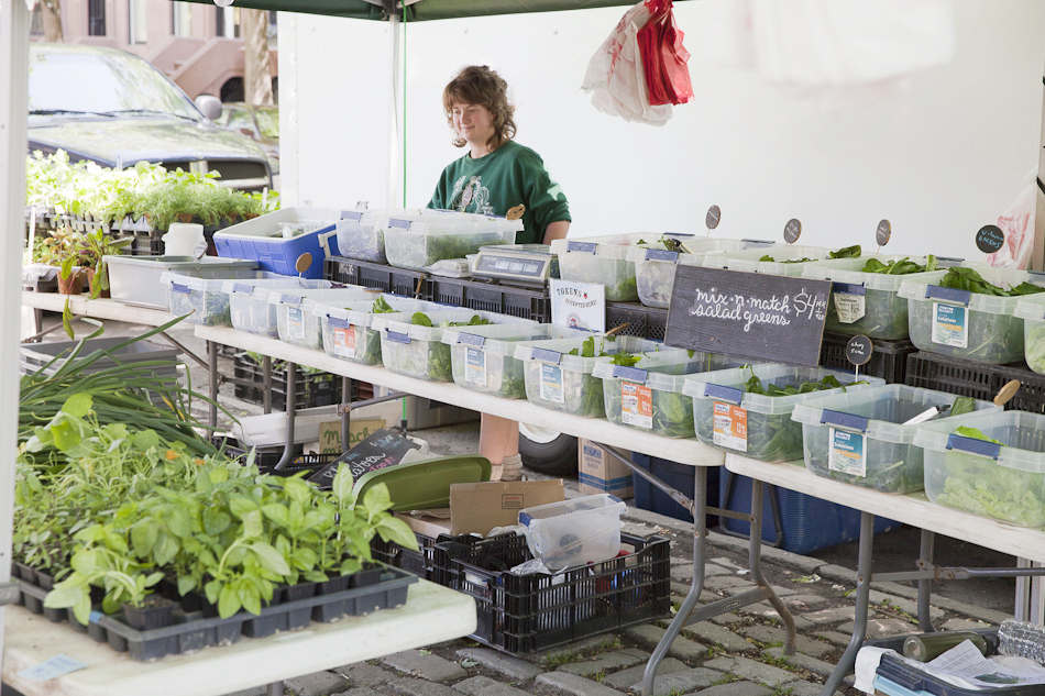 smartvolta_volta_smart_places_agnes_thor_ftgreenemarket449_062d