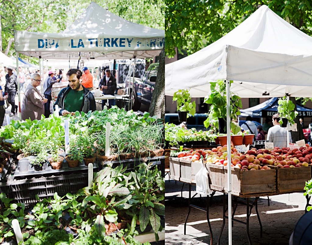 Fort Greene Green Market SmartVolta Conscious Living & Healthy