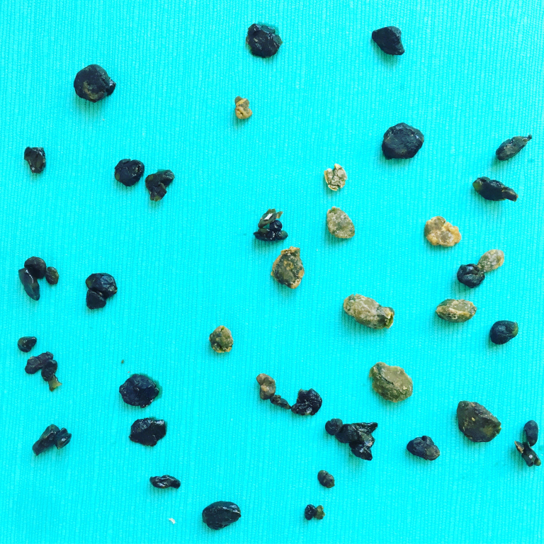 Get your liver cleanse with Grapefruit SmartVolta Conscious Living