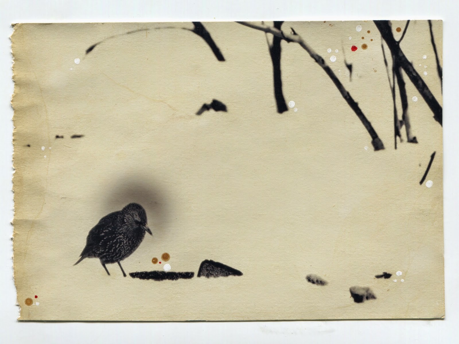 SmartVolta Inspiration Masao Yamamoto smartvolta-inspiration-masao-yamamoto